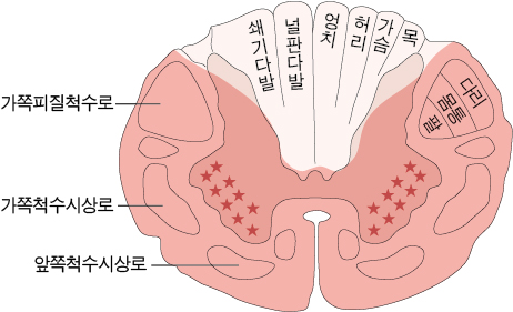 dea717cb2322089302bffc160208edd9_1717740377_0033.jpg dea717cb2322089302bffc160208edd9_1717740377_0033.jpg