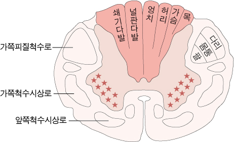 dea717cb2322089302bffc160208edd9_1717740400_4098.jpg dea717cb2322089302bffc160208edd9_1717740400_4098.jpg