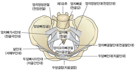 cf07d795168ee5d0583b9d1f62a43374_1741336942_6399.jpg