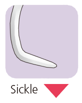 190d60acdb6b455bfad220f2e4da4103_1745571347_1856.png