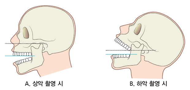 190d60acdb6b455bfad220f2e4da4103_1745810701_1261.png