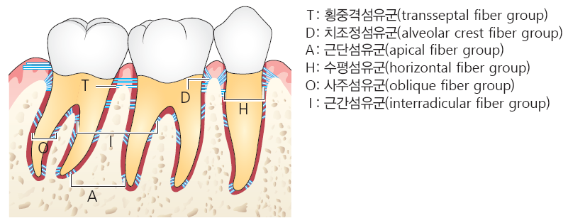 190d60acdb6b455bfad220f2e4da4103_1745902253_6182.png