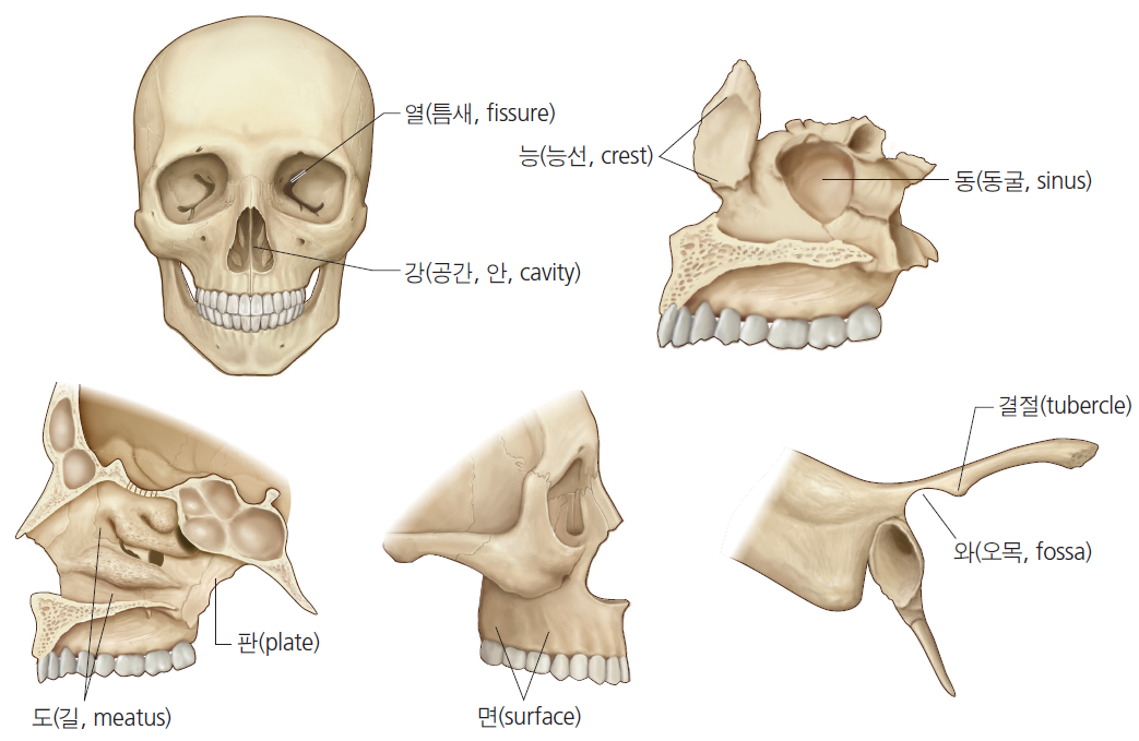 36d601558742f6c7bf125c93afd5b1d1_1745461922_7028.png 36d601558742f6c7bf125c93afd5b1d1_1745461922_7028.png
