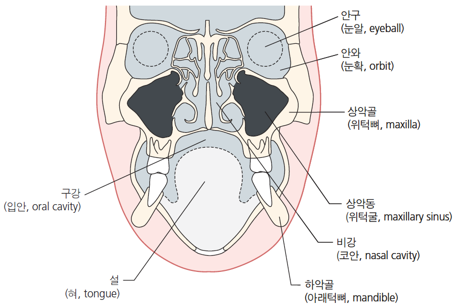 36d601558742f6c7bf125c93afd5b1d1_1745462716_4759.png 36d601558742f6c7bf125c93afd5b1d1_1745462716_4759.png