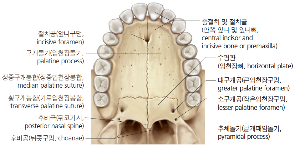 36d601558742f6c7bf125c93afd5b1d1_1745462901_4571.png 36d601558742f6c7bf125c93afd5b1d1_1745462901_4571.png