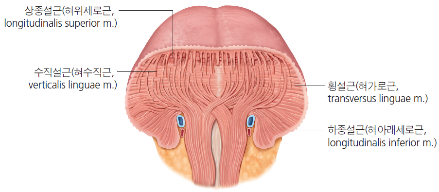 36d601558742f6c7bf125c93afd5b1d1_1745467575_6092.png 36d601558742f6c7bf125c93afd5b1d1_1745467575_6092.png