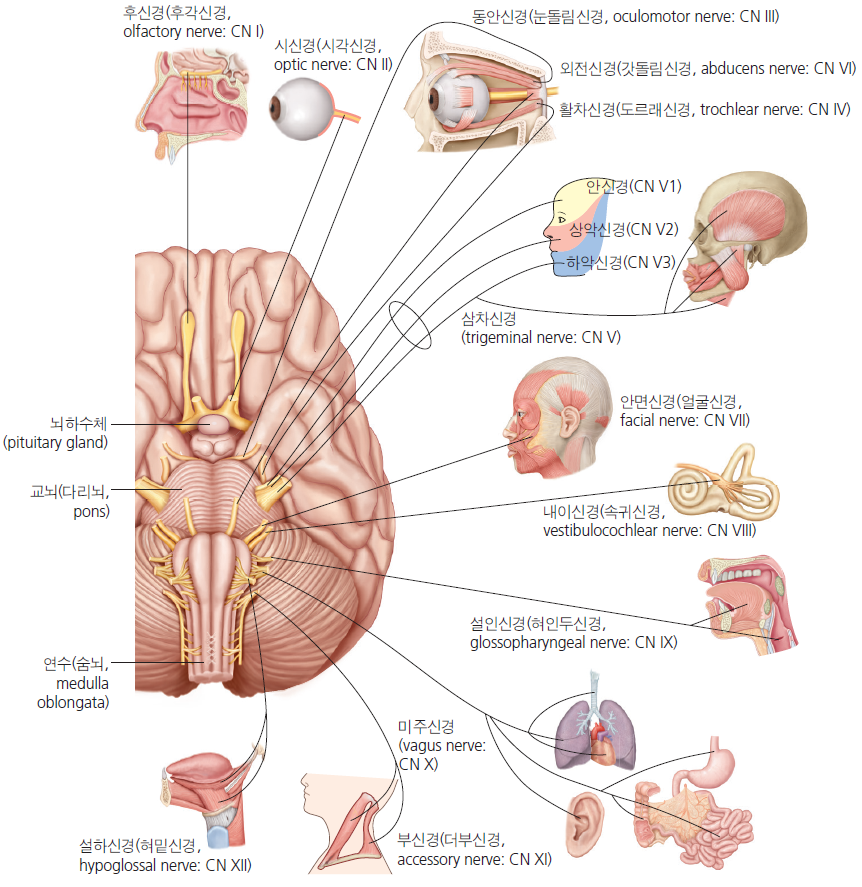 36d601558742f6c7bf125c93afd5b1d1_1745468246_6801.png 36d601558742f6c7bf125c93afd5b1d1_1745468246_6801.png