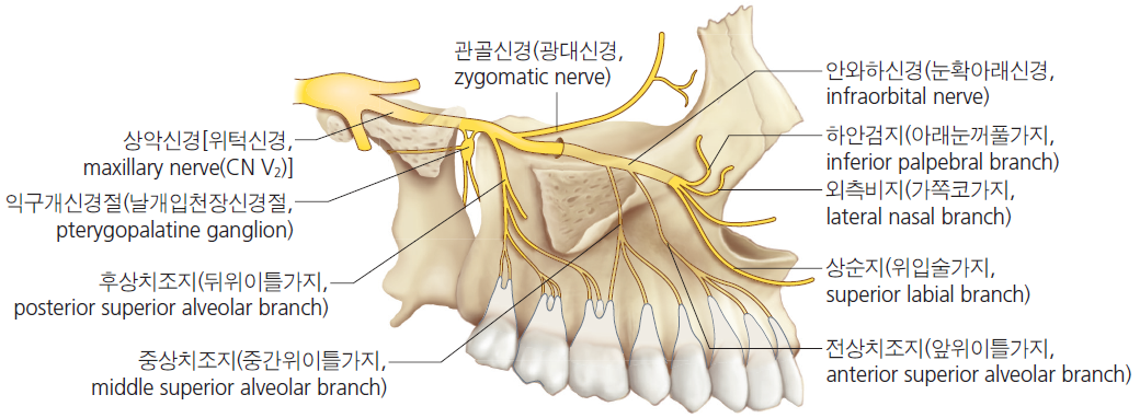 36d601558742f6c7bf125c93afd5b1d1_1745468505_0631.png 36d601558742f6c7bf125c93afd5b1d1_1745468505_0631.png