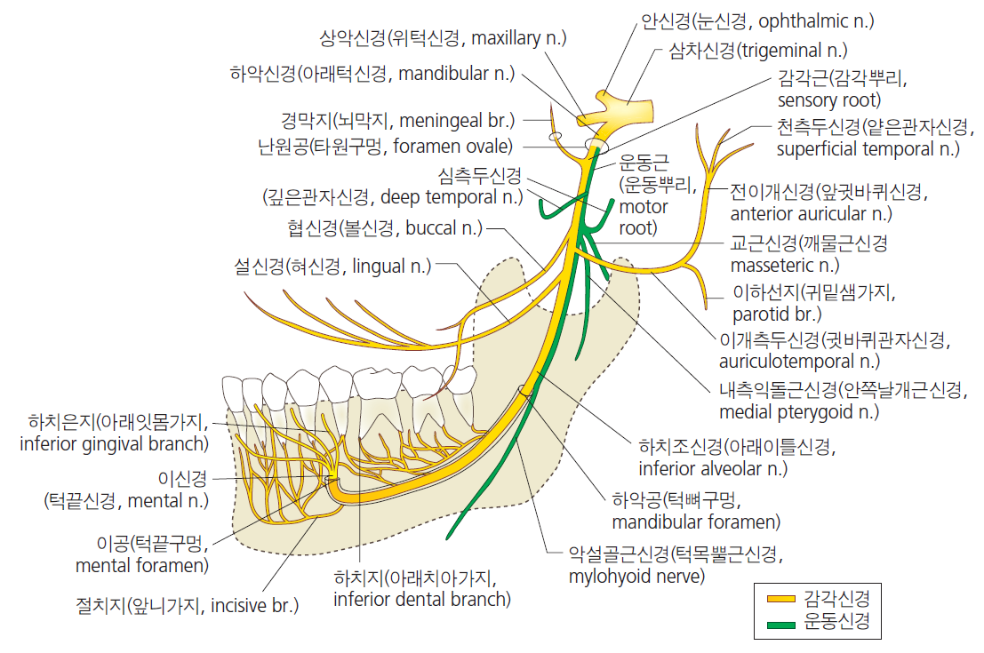 36d601558742f6c7bf125c93afd5b1d1_1745468523_5179.png 36d601558742f6c7bf125c93afd5b1d1_1745468523_5179.png