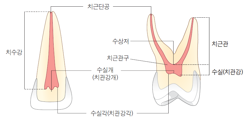 36d601558742f6c7bf125c93afd5b1d1_1745469251_5333.png 36d601558742f6c7bf125c93afd5b1d1_1745469251_5333.png