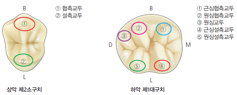 36d601558742f6c7bf125c93afd5b1d1_1745470463_2194.png 36d601558742f6c7bf125c93afd5b1d1_1745470463_2194.png