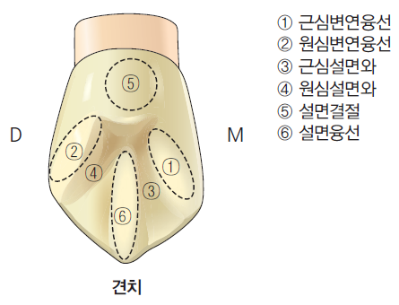 36d601558742f6c7bf125c93afd5b1d1_1745470772_4063.png 36d601558742f6c7bf125c93afd5b1d1_1745470772_4063.png