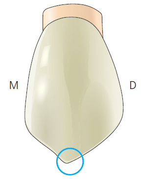 36d601558742f6c7bf125c93afd5b1d1_1745470859_2039.png 36d601558742f6c7bf125c93afd5b1d1_1745470859_2039.png