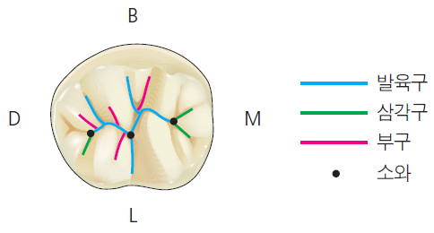 36d601558742f6c7bf125c93afd5b1d1_1745471076_6726.png