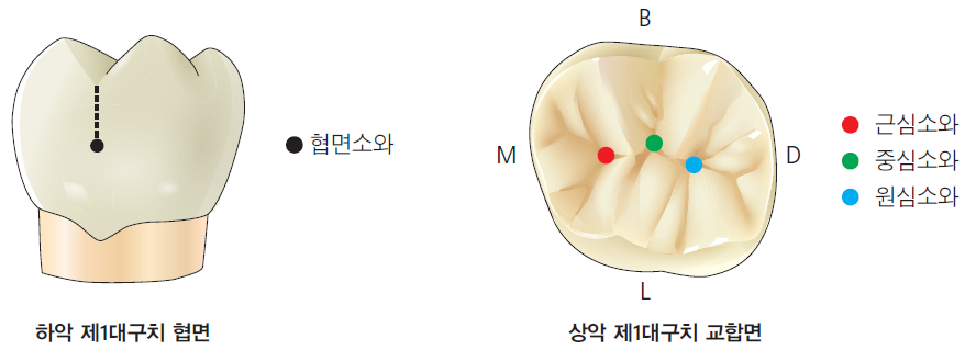 36d601558742f6c7bf125c93afd5b1d1_1745471205_6787.png