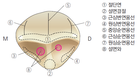36d601558742f6c7bf125c93afd5b1d1_1745472073_0158.png 36d601558742f6c7bf125c93afd5b1d1_1745472073_0158.png