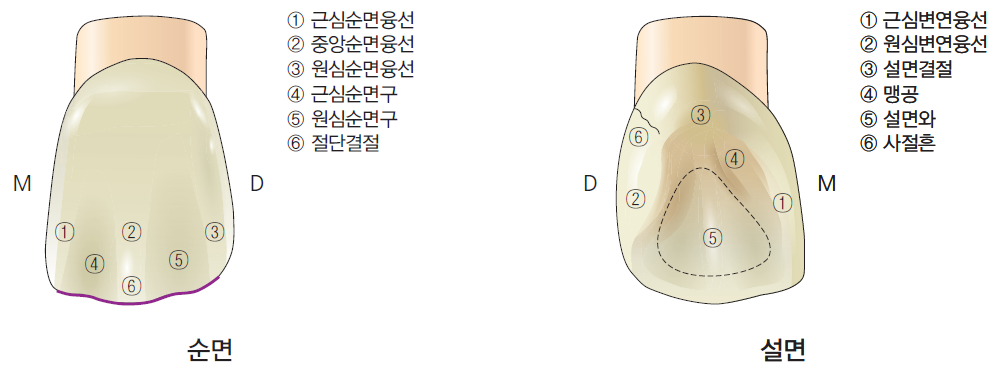 36d601558742f6c7bf125c93afd5b1d1_1745472346_7768.png 36d601558742f6c7bf125c93afd5b1d1_1745472346_7768.png