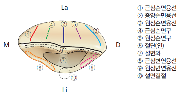 36d601558742f6c7bf125c93afd5b1d1_1745472510_2682.png 36d601558742f6c7bf125c93afd5b1d1_1745472510_2682.png