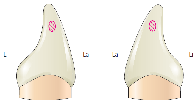 36d601558742f6c7bf125c93afd5b1d1_1745472652_7288.png 36d601558742f6c7bf125c93afd5b1d1_1745472652_7288.png