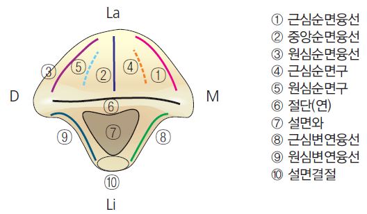 36d601558742f6c7bf125c93afd5b1d1_1745472724_8839.png 36d601558742f6c7bf125c93afd5b1d1_1745472724_8839.png