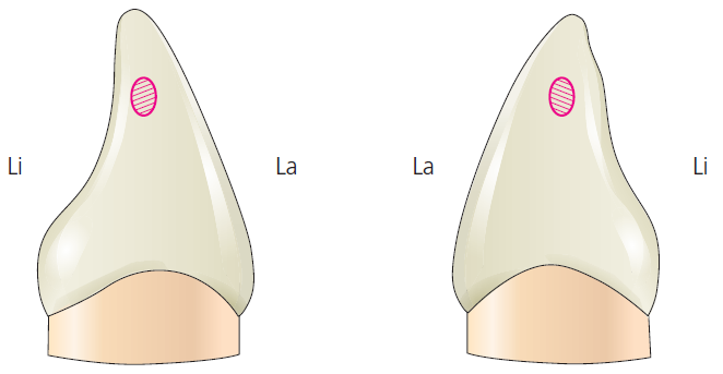 36d601558742f6c7bf125c93afd5b1d1_1745472848_3747.png 36d601558742f6c7bf125c93afd5b1d1_1745472848_3747.png