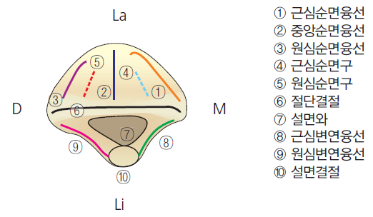 36d601558742f6c7bf125c93afd5b1d1_1745472917_8913.png 36d601558742f6c7bf125c93afd5b1d1_1745472917_8913.png