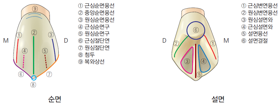 36d601558742f6c7bf125c93afd5b1d1_1745473344_5987.png 36d601558742f6c7bf125c93afd5b1d1_1745473344_5987.png