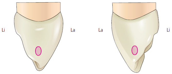 36d601558742f6c7bf125c93afd5b1d1_1745473397_1291.png 36d601558742f6c7bf125c93afd5b1d1_1745473397_1291.png