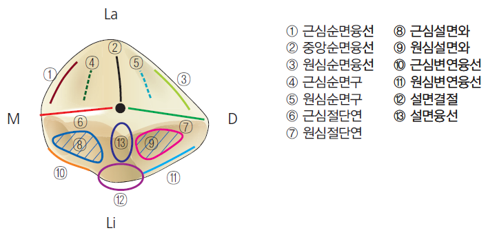 36d601558742f6c7bf125c93afd5b1d1_1745473481_5149.png 36d601558742f6c7bf125c93afd5b1d1_1745473481_5149.png