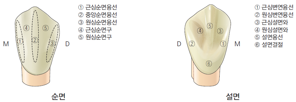 36d601558742f6c7bf125c93afd5b1d1_1745473521_7062.png 36d601558742f6c7bf125c93afd5b1d1_1745473521_7062.png