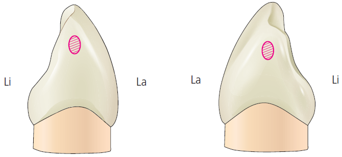 36d601558742f6c7bf125c93afd5b1d1_1745473616_9605.png 36d601558742f6c7bf125c93afd5b1d1_1745473616_9605.png