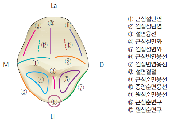36d601558742f6c7bf125c93afd5b1d1_1745473679_9879.png 36d601558742f6c7bf125c93afd5b1d1_1745473679_9879.png