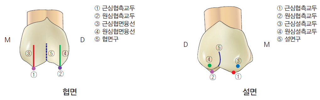 36d601558742f6c7bf125c93afd5b1d1_1745480581_5446.png 36d601558742f6c7bf125c93afd5b1d1_1745480581_5446.png