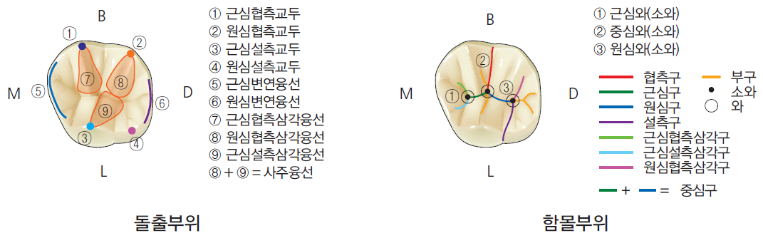 36d601558742f6c7bf125c93afd5b1d1_1745480778_3342.png 36d601558742f6c7bf125c93afd5b1d1_1745480778_3342.png