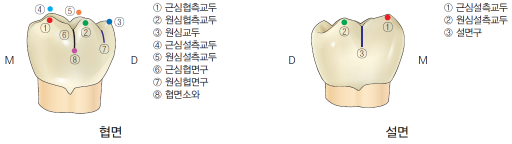 36d601558742f6c7bf125c93afd5b1d1_1745480885_4191.png 36d601558742f6c7bf125c93afd5b1d1_1745480885_4191.png