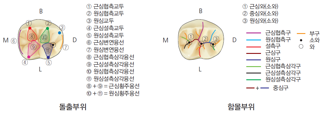 36d601558742f6c7bf125c93afd5b1d1_1745481064_3196.png 36d601558742f6c7bf125c93afd5b1d1_1745481064_3196.png