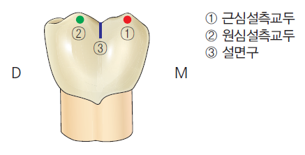 36d601558742f6c7bf125c93afd5b1d1_1745481507_2911.png 36d601558742f6c7bf125c93afd5b1d1_1745481507_2911.png