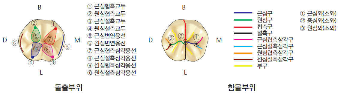 36d601558742f6c7bf125c93afd5b1d1_1745481653_4592.png 36d601558742f6c7bf125c93afd5b1d1_1745481653_4592.png