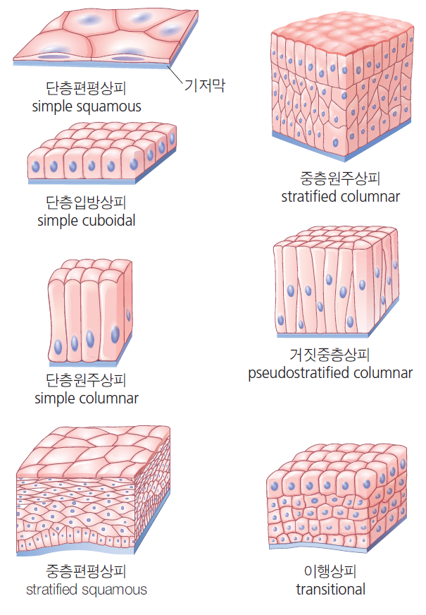 36d601558742f6c7bf125c93afd5b1d1_1745564552_0193.png