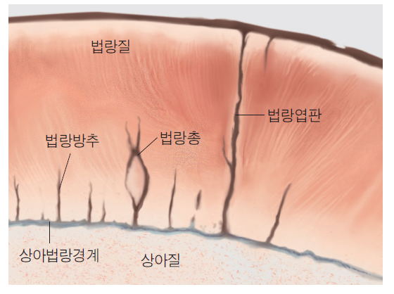 36d601558742f6c7bf125c93afd5b1d1_1745568067_1994.png