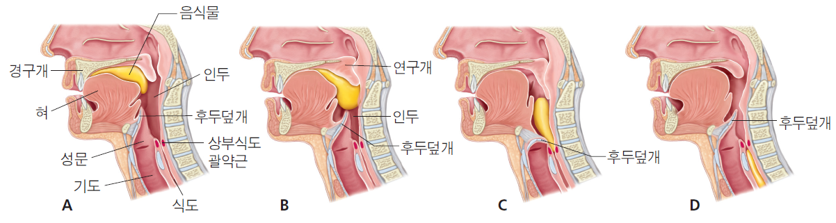 36d601558742f6c7bf125c93afd5b1d1_1745815330_6403.png