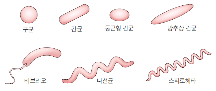 36d601558742f6c7bf125c93afd5b1d1_1745815841_2105.png