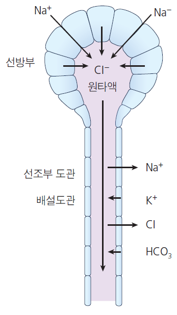 36d601558742f6c7bf125c93afd5b1d1_1745983076_3411.png