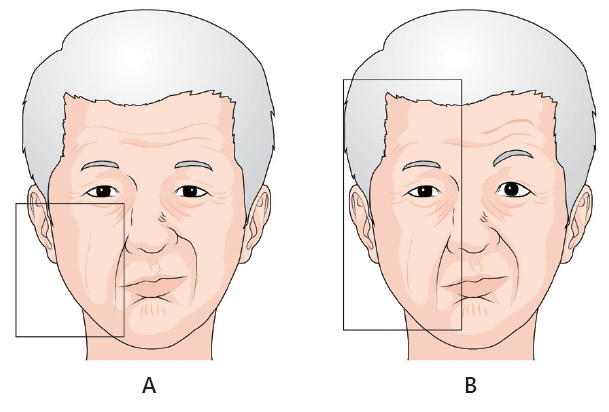 190d60acdb6b455bfad220f2e4da4103_1746760583_6327.png