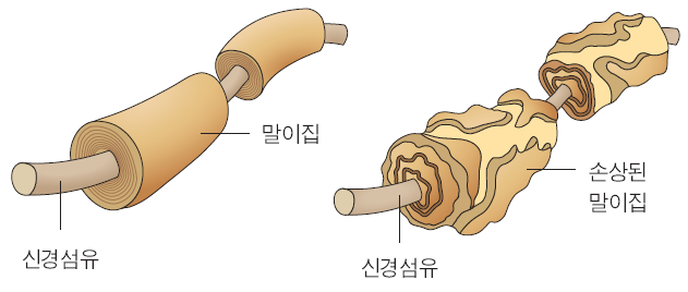 190d60acdb6b455bfad220f2e4da4103_1746762470_6449.png
