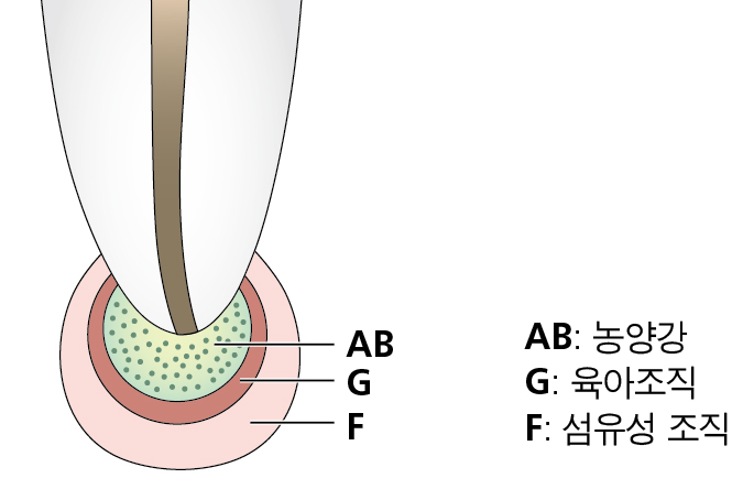 65d19ba46a5a5d2658bb7b61cb81d6a7_1747010886_0315.jpg