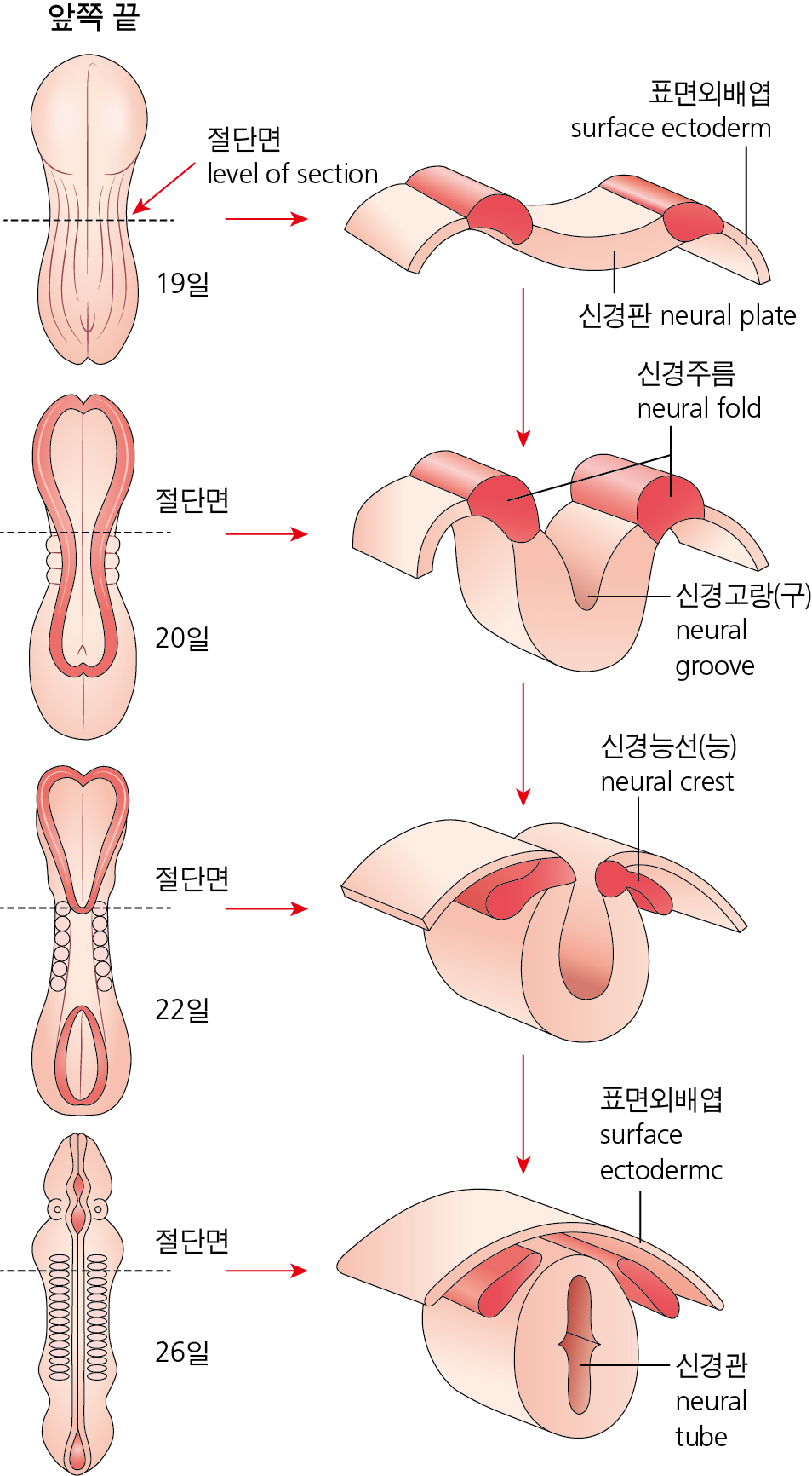 fe5e1d46377a5089d434f6fc8265cd75_1749539549_9045.jpg