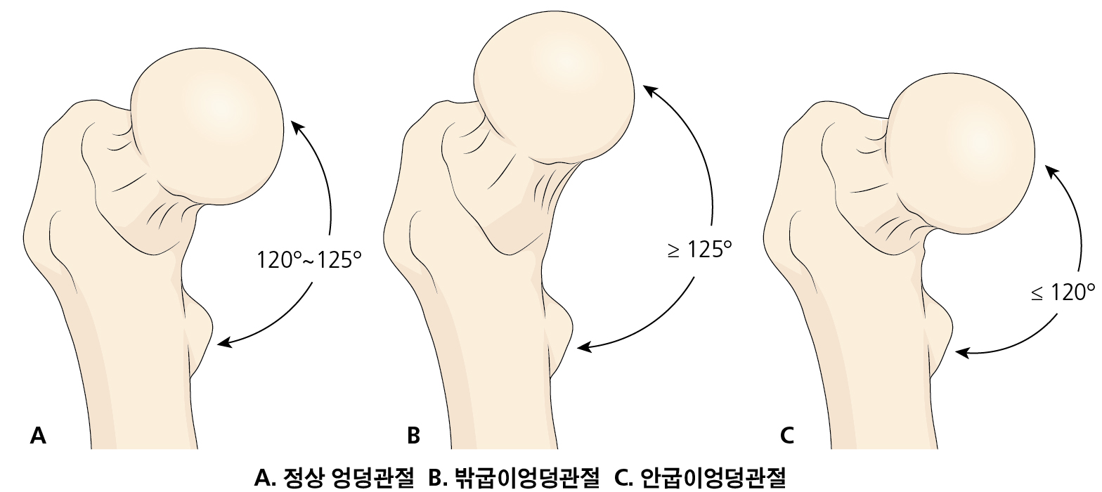 fe5e1d46377a5089d434f6fc8265cd75_1749607644_431.jpg