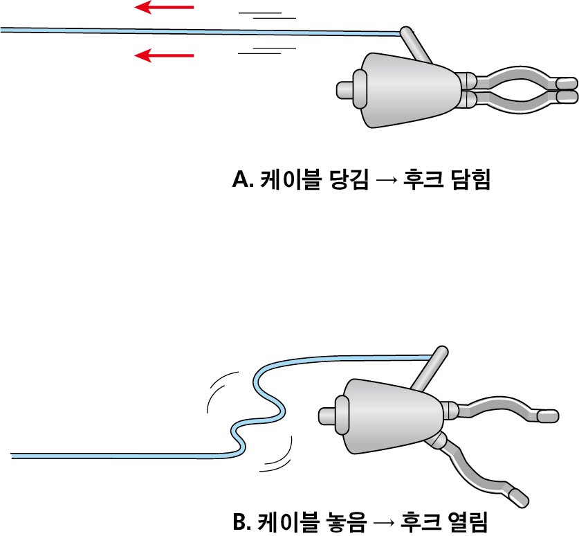 fe5e1d46377a5089d434f6fc8265cd75_1749624930_1837.jpg