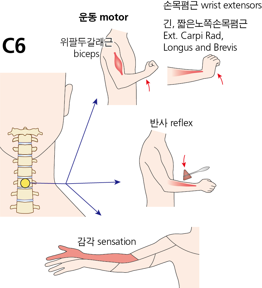 fe5e1d46377a5089d434f6fc8265cd75_1749689754_2229.jpg